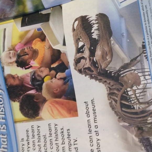 Studies Weekly Teacher Resource 1 - first grade - Picture 7 of 8